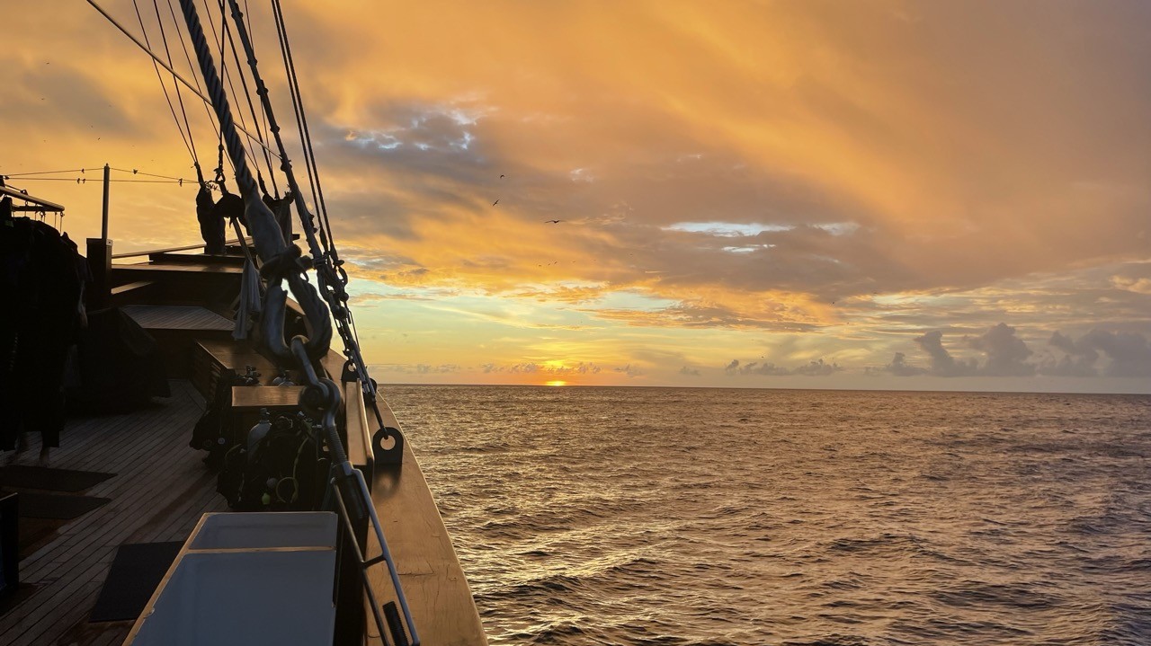 Samambaia Liveaboard 18