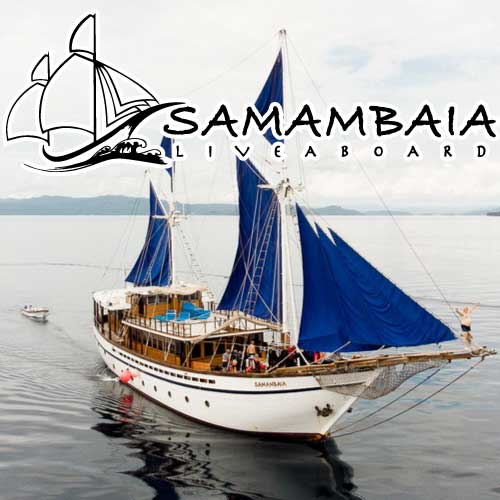 www.samambaia-liveaboard.com